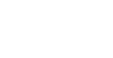 Fest Color