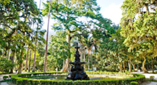 Jardim Botanico