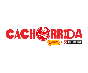 Cachorrida Garoto